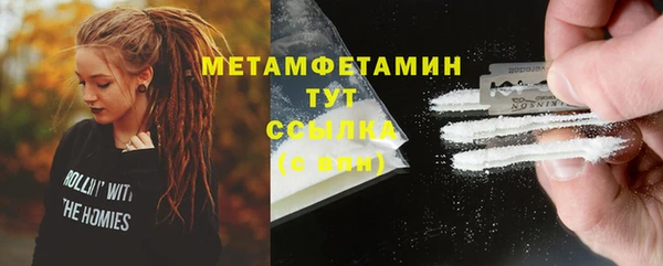 шишки Пестово