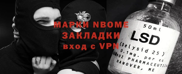 шишки Пестово