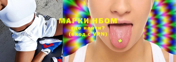 шишки Пестово