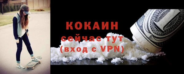 гашик Переславль-Залесский
