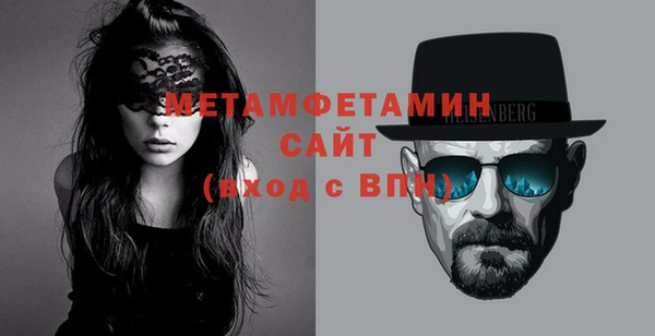 шишки Пестово