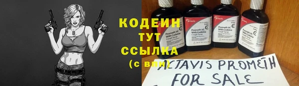 шишки Пестово