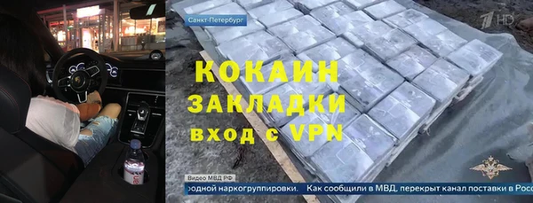 шишки Пестово
