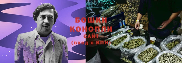 шишки Пестово