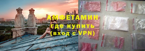 шишки Пестово