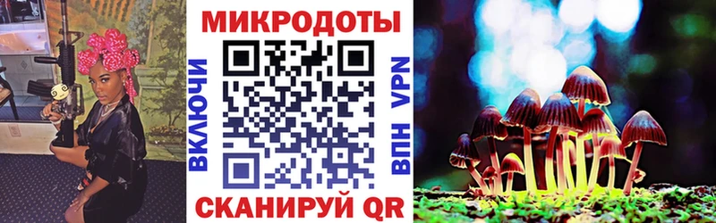 Купить закладки  Ряжск  Псилоцибиновые грибы мухоморы 
